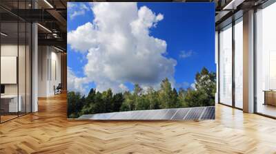 Detail of Solar Power Station on the summer Meadow Wall mural