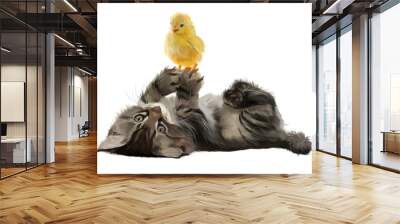 The Kitten and the Chicken watercolor painting Wall mural