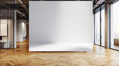 Abstract white studio background for product presentation. Empty room with shadows. friendly interior concept 3d render, Mock up for exhibitions,copy space, minimal concept Wall mural