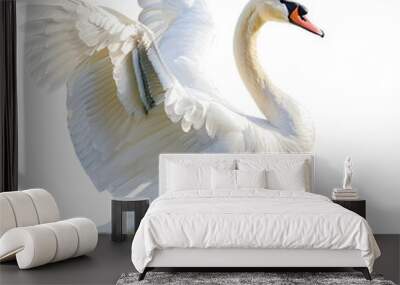 Elegant white swan with wings spread gracefully isolated on transparency PNG background, . Perfect for nature and wildlife themes. Wall mural