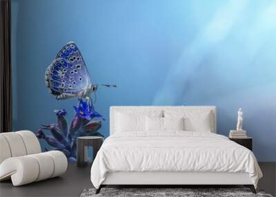 Beautiful blue butterfly on blue flowers against blue air background. Romantic artistic picture of amazing nature. Wall mural