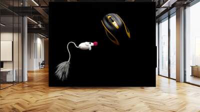 A mouse isolated on black Wall mural