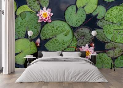 Lotus flower plants​ composition​ flower​. Top view, flat lay, natural background​ Wall mural