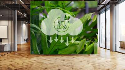 CO2 Net-Zero Emission concept, The concept of carbon neutral and net zero. natural environment A climate-neutral long-term strategy greenhouse gas emissions targets Wall mural