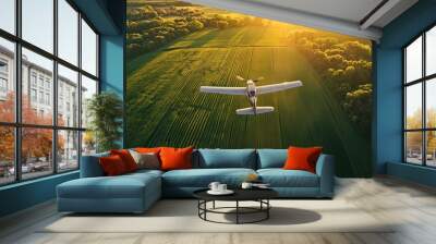 A small plane is flying over an expansive green farm field at sunrise Wall mural