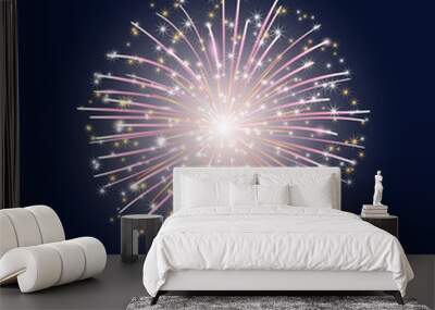 vector illustration. The flash of colorful fireworks with stars on the dark sky background. Wall mural