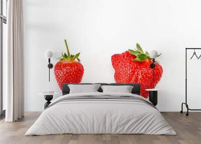 ugly strawberries and plain beautiful strawberries on a white background .Funny, unnormal fruits or food waste concept. Unformatted fruits Wall mural