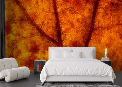 Leaf background Wall mural