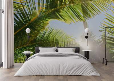 asian tropical jungle. Palm leaves. Dark green palm foliage Wall mural