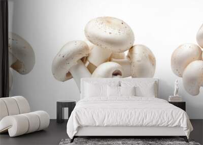 Set of Fresh white mushrooms isolated on a transparent background Wall mural