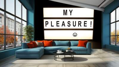 My pleasure, text on lightbox 2 Wall mural