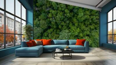 Aerial top view green forest beautiful landscape nature background, Top view tropical rainforest, Green forest tree view from above, Ecosystem and healthy environment. Wall mural