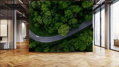 Aerial view electric vehicle car driving on asphalt road in mountain green forest, EV car electric vehicle car on forest road green energy and eco power, White electric car driving green forest road. Wall mural