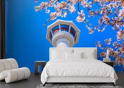 Busan Tower with cherry blossom, Busan, South Korea Wall mural