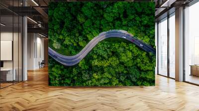 Forest Road view from above, Aerial view asphalt road in tropical tree forest with a road going through with car, Adventure in Asia background concept. Wall mural