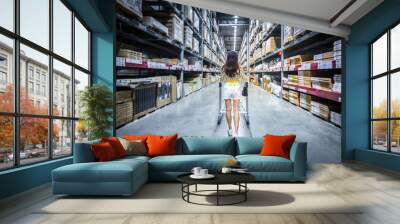 Young asian woman pushing shopping cart in warehouse shopping / blurred warehouse background material. Wall mural