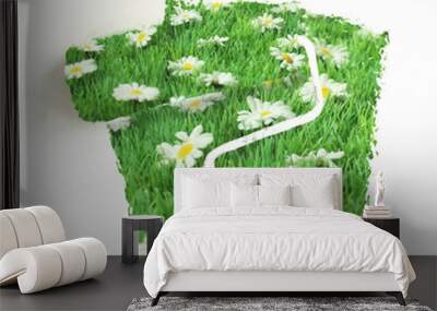 decorative painting Wall mural