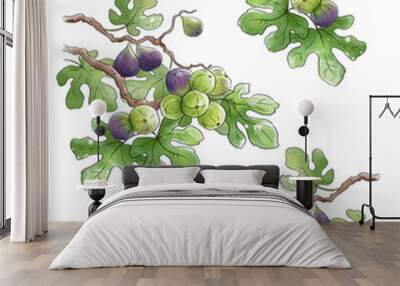 Ripe figs frowing on a branch illustration Wall mural