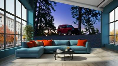 Red SUV against the background of trees and a beautiful sky at dusk, shot from below Wall mural