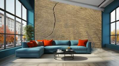 The art of crack tree cut surface for texture and background or backdrop, a kind of old and vintage fashion Wall mural