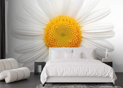 Close-up image of a beautiful white daisy flower with a vibrant yellow center, isolated on a clean background. Wall mural