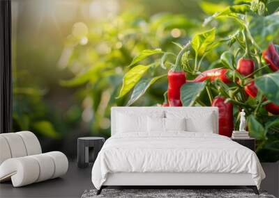 A vibrant image of chili peppers growing in abundance on a healthy plant in a lush green garden Wall mural