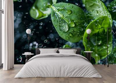 Emphasize the freshness of the ingredients with tiny water droplets clinging to leaves  Wall mural