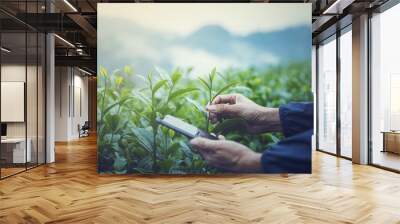 farmer checking the crop of young shoots of tea leaves plants on the plantation by smartphone.Technology for agriculture Concept Wall mural