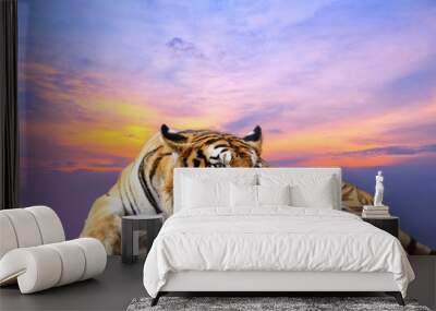 Tiger looking something on the rock with beautiful sky at sunset Wall mural