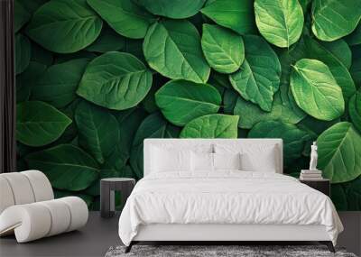 A vibrant display of lush green leaves, showcasing nature's beauty and diversity in a serene background. Wall mural