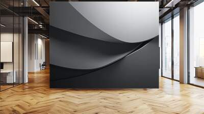 Elegant black and white abstract design featuring smooth curves and subtle gradients, perfect for modern backgrounds and art. Wall mural