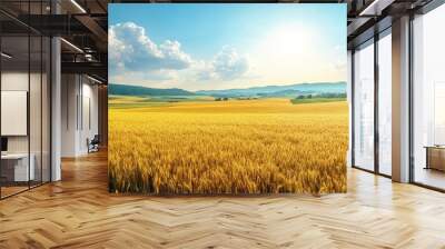 Golden wheat field under a bright blue sky with fluffy clouds, capturing the serene beauty of nature and agricultural landscape. Wall mural