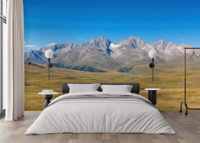 Scenic mountain landscape under a clear blue sky with a winding dirt road in a grassy meadow. Wall mural