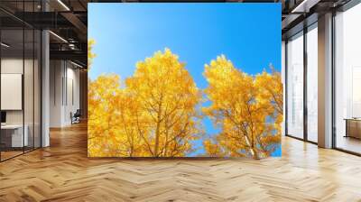 Vibrant autumn trees showcase bright yellow leaves against a clear blue sky, embodying the beauty of the fall season. Wall mural