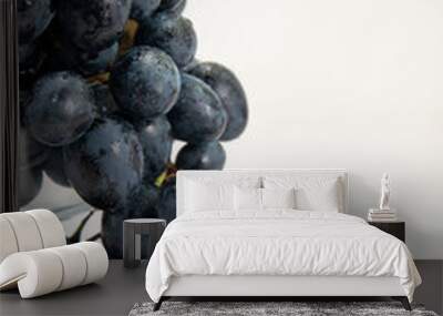 front close view fresh black grapes juicy mellow fruits on white desk fruit fresh mellow juice Wall mural