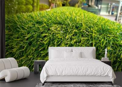 green artificial grass texture background Wall mural