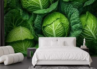 green cabbage background Wall mural