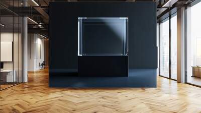 Illuminated Glass Vitrine on Black Backdrop: Premium Museum Exhibit Case  Wall mural