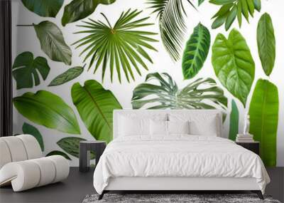 More beautiful exotic tropical leaves, isolated leaf background Wall mural