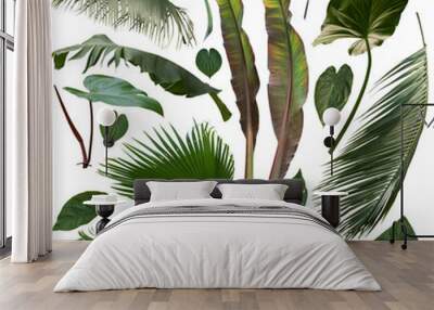 More beautiful exotic tropical leaves, isolated leaf background Wall mural