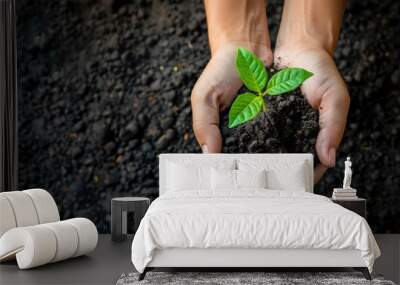 Close-up of hands holding rich, dark soil with a small green plant growing, symbolizing sustainable development and environmental care Wall mural