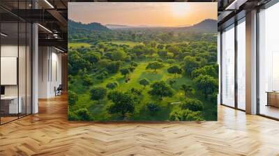 The serene landscape of a traditional Indian orchard, with fruit-laden trees, lush green surroundings, and the peaceful ambiance of nature Wall mural