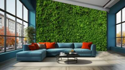 Moss green on the wall surface. Space for text on right Wall mural