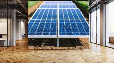 A row of solar panels placed over soil in a green field, showcasing sustainable energy solutions in agricultural settings. Wall mural