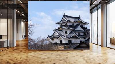 Hikone castle in japan Wall mural