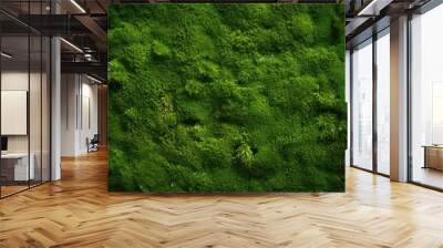 Lush moss texture background, velvety and vibrant green surface, natural forest floor backdrop, refreshing and invigorating Wall mural