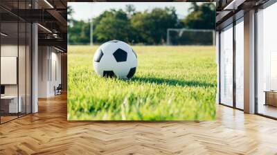 Soccer ball on grass field, sport concept. Wall mural