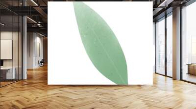 green leaf nature Wall mural