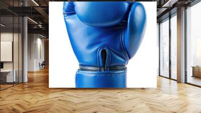 A blue boxing glove shown in the back view on a transparent background, suitable for sports and fitness illustrations. PNG. Wall mural