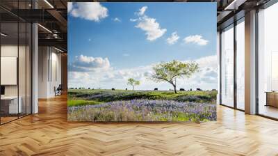 Texas Bluebonnet filed and farmland in Ennis Wall mural